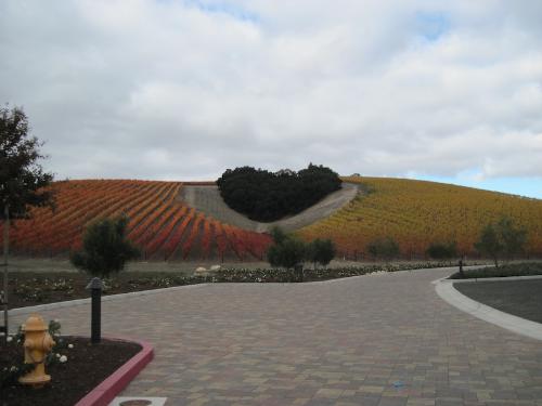 Heart Hill in Color - Heart Hill sits within the Niner Estates Vineyard in Paso Robles, California. It's a unique landmark, but it's most beautiful in autumn. This picture was taken on November 18, 2011. It is copyrighted, so please do not use it without permission. Heart Hill in Color - Heart Hill sits within the Niner Estates Vineyard in Paso Robles, California. It's a unique landmark, but it's most beautiful in autumn. This picture was taken on November 18, 2011. It is copyrighted, so please do not use it without permission.
