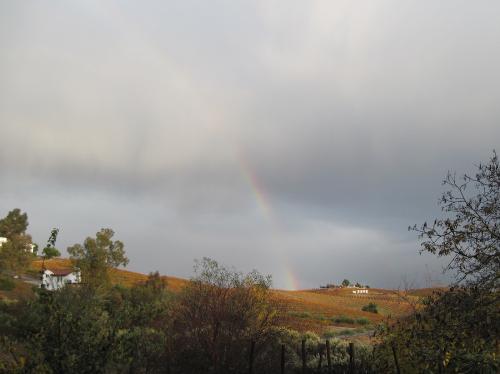 Rainbow touches the hills and vineyard - This rainbow was not completely picked up by the camera. 