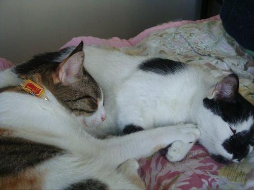 Sleeping together - How sweet!