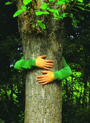 Tree hugger - picture of someone hugging a tree for earth friendly talks like environmentalists who are always working to save our Earth today. Talks on this at Mylot.