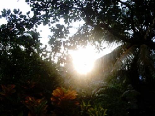 sunrise at Solitaire - I am fortunate that I have enough subjects to capture on my camera
