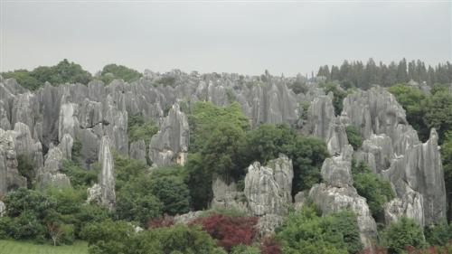natual scenary-----beautiful stone forest - a variety of all kinds of different stones ....