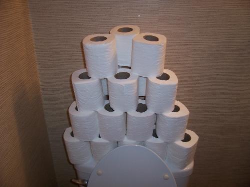 The Tower of Toilet Paper - This is what my brother-in-law saw when he walked into their bathroom.