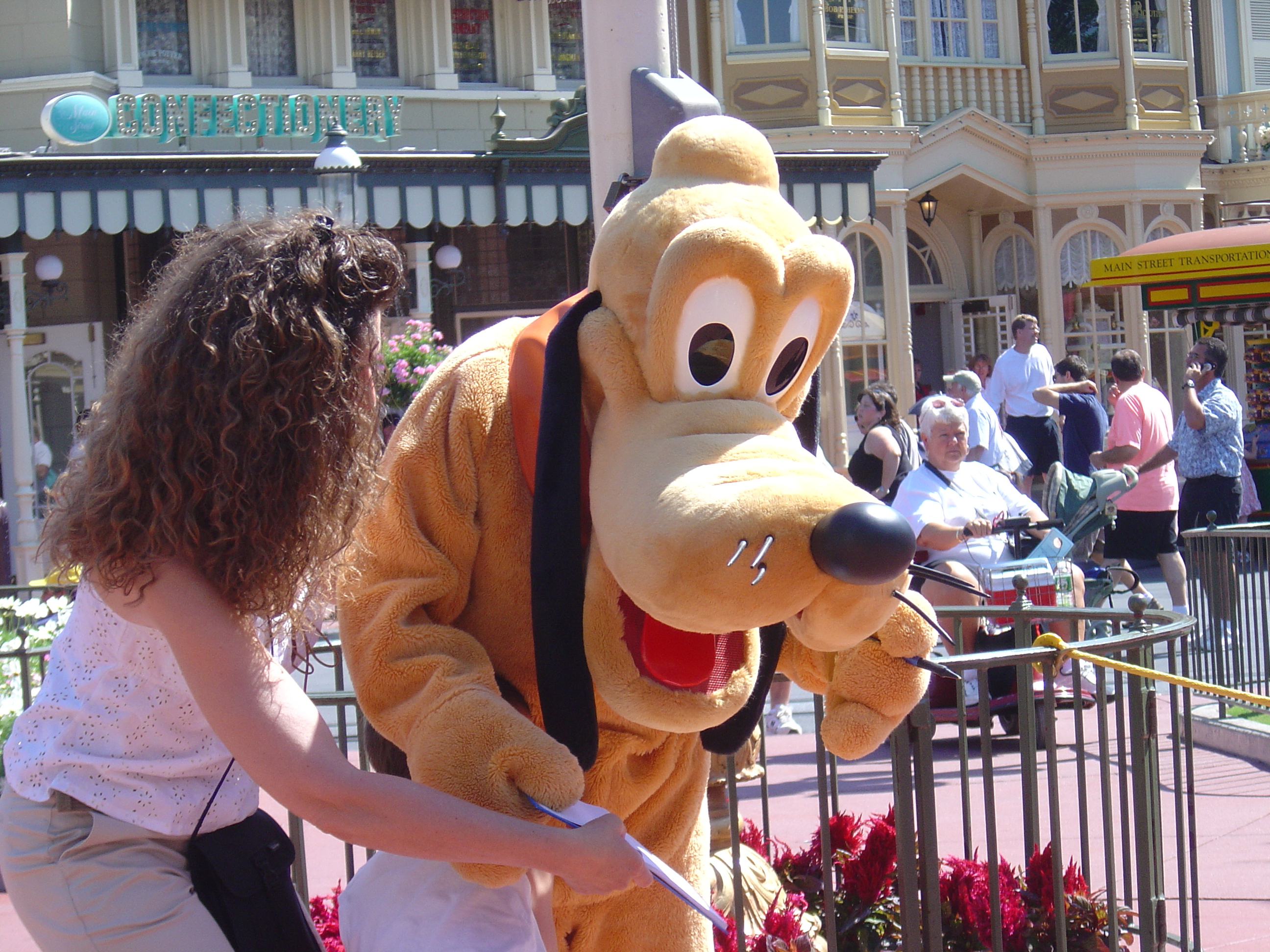 disney2 - this is disney orlando image .. i took ,when i went there.