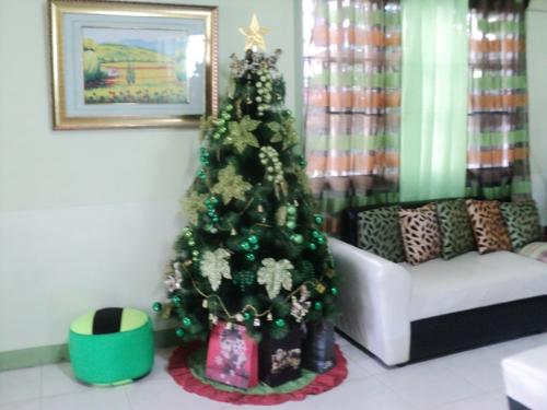 Christmas tree  - Christmas decors bring joy.