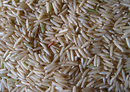 brown rice - Nutritious & healthy brown rice