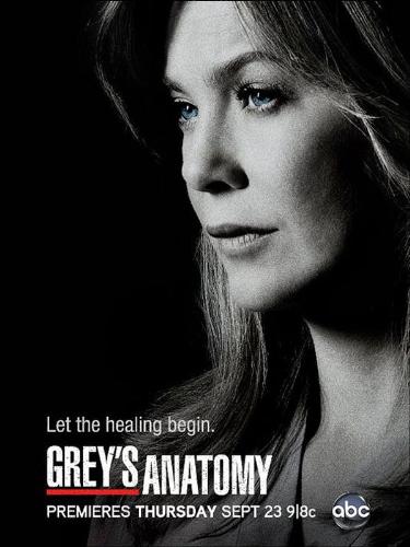 Grey's Anatomy - Season 8