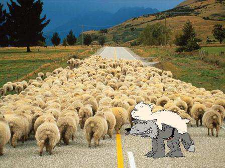 Don&#039;t Be A Wolf Sheep... - leading people astray