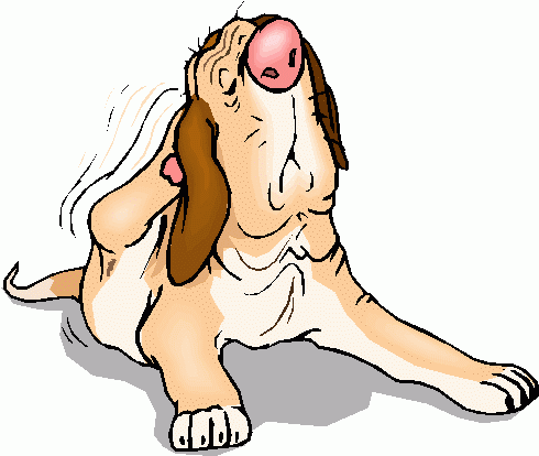 Dog scratching - Cartoon image of a dog scratching