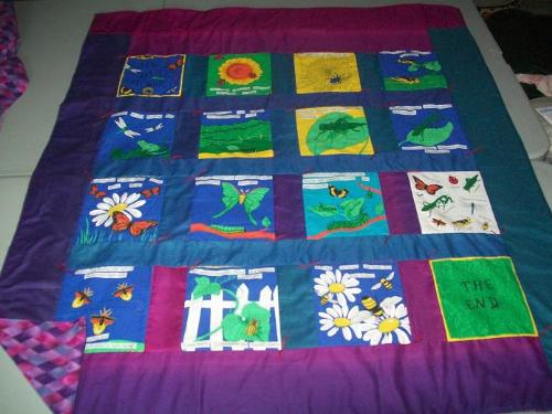 Bug Book Quilt - I made this for my 4 yr old grandson for his birthday---instead of making the soft bug book that the material was intended for, I made it into a quilt instead. It just so happened I had found the other material in my stash that worked for the in between and the backing.