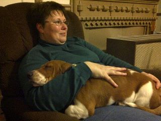 Kim and Rosie  - Kim and Rosie our basset hound