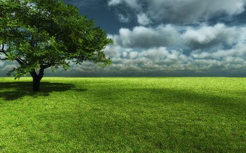 Grass Land - This photo give so much peace. I imagine running over the beautiful green grass, or sitting next to the tree reading o painting. I would love to be in a place like this. Just enjoy nature.