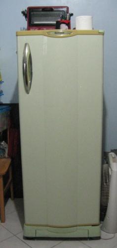 The 12 year old ref that needed a replacement - This is the refrigerator that served us for 12 years. 