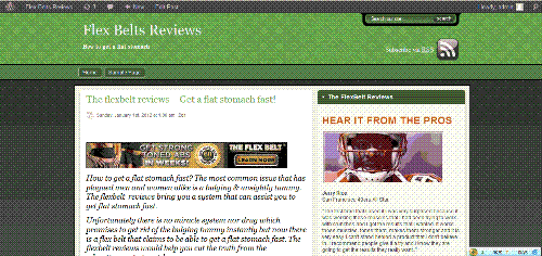 Would you be my review panel - This is my new site, I do not have any money to employ people to review my site http://theflexbeltsreviews.com. I wonder if you can help me review my site.