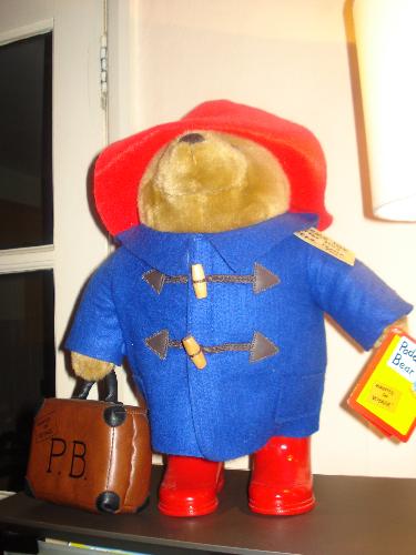 Paddington Bear  - My Paddington Bear - lamp next to him from upstairs.