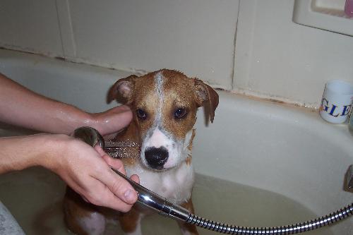 Bath time - Come on in, the water is warm.