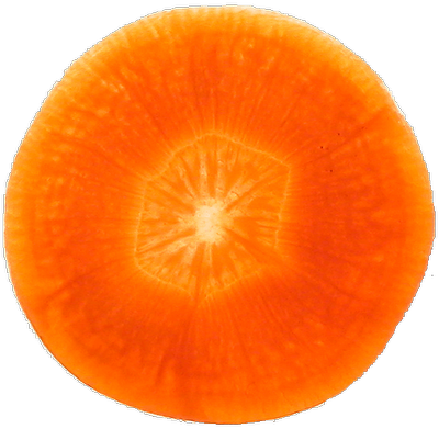 Carrot - Sliced carrot is just like our eye! Carrot - Sliced carrot is just like our eye!