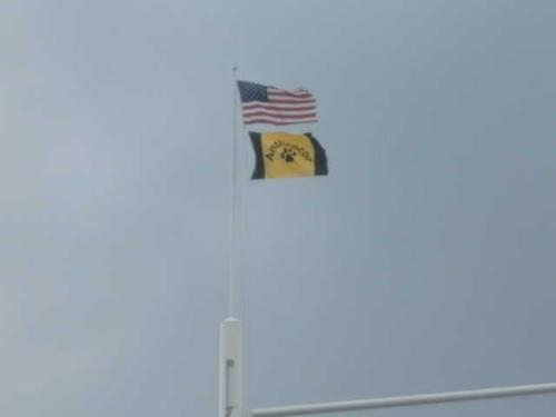 anthrocon flag - our flag is still there!