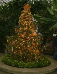 Christmas Tree - This was taken at the winter flower show in Pittsburgh, PA.