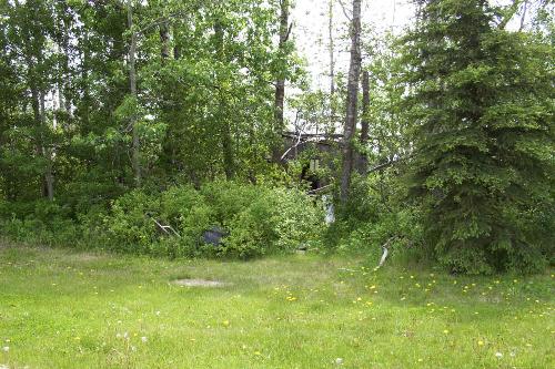 Treehouse - In the bush is my old treehouse my mom and granddad built. This was taken after the posts it sat on sank into the ground and it fell over. now...it sits sort of on the ground. A Forgotten ruin.  It makes me sad that things get unused...forgotten...