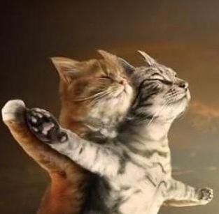 catanic - LOL hahhahhahahha!