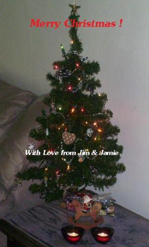 Christams Tree 2011 - Our Christmas tree from 2011