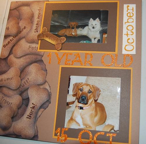 chainsaw's birthday - scrap layout of my pup's one year birthday
