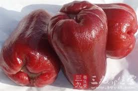wax apple - wax apple is a fruit
