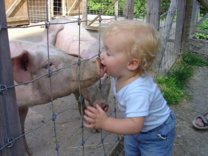 just for fun! - funny picture of a baby kissing a pig!