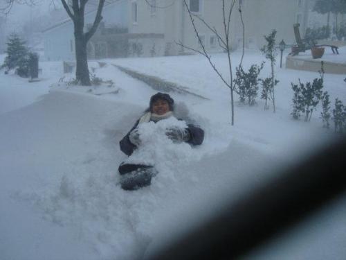 Showm snow, show - Covered by snow