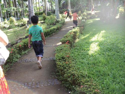 Walking along the park - Cool and Refreshing Environment
