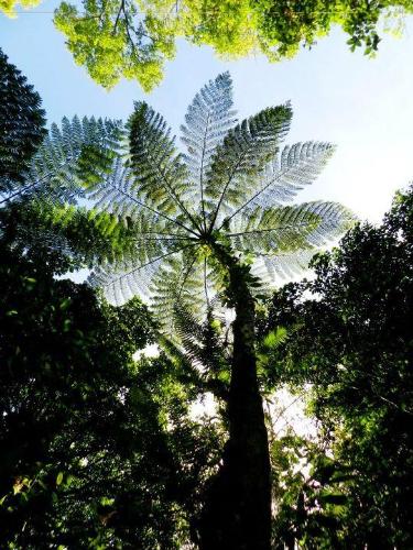 Save this beautiful earth - The earth is spoiling down
