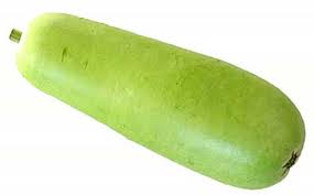 bottle gourd - vegetable