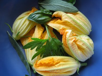 squash flower - its delicious, but most likely you will not give this vegetable a chance squash flower - its delicious, but most likely you will not give this vegetable a chance