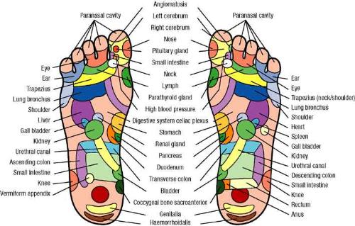 reflexology map - I felt like having a foot massage