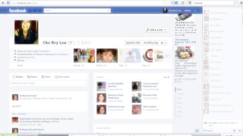 my fb page ...hate it - This is how my FB looks like.. I had to make some parts blurry to keep some information private though..:)