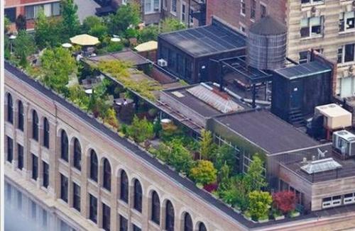 rooftop garden - this is a roof top garden, one can sit and enjoy