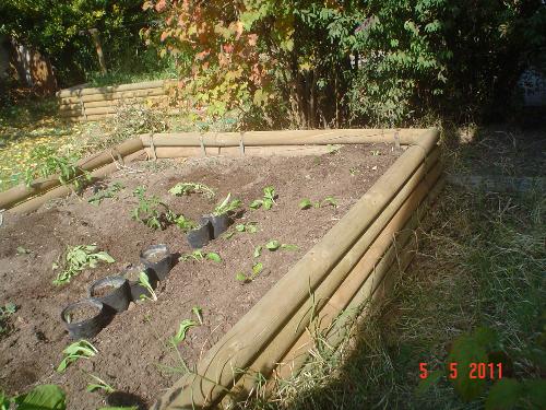 Garden with a raised bed. - I use raised beds for my veggies. It yields a lot more.