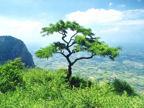 Nature - It is a photo of nature.