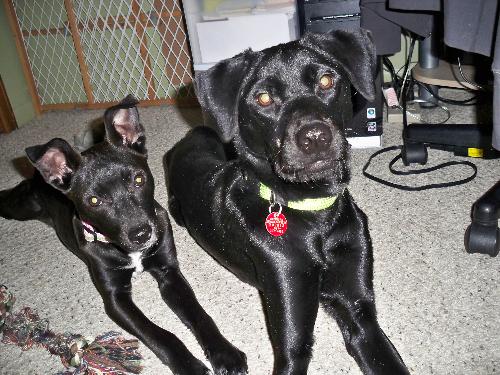 Ally & Caty - Ally is on the left; Caty is on the right. They are quite the pair!