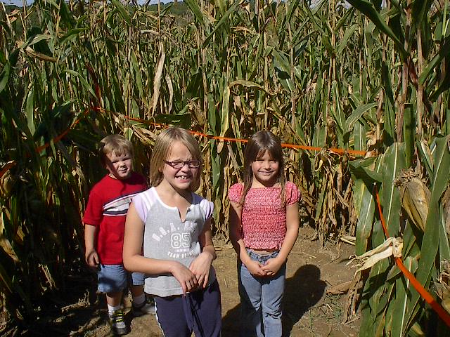 My kids in a corn maze - My children in a corn maze. We had gone pumpkin picking and decided to do the maze.