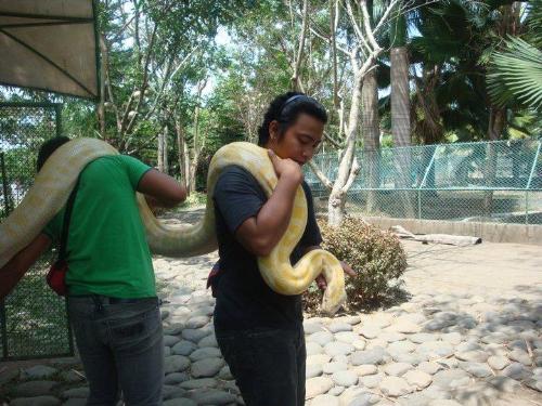 Python - Do want this kind of pet?
