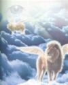 animal heaven - Animals in heaven.
