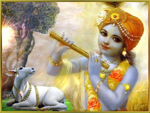 Jai Srhi Krishna - ~|| Harhi Sharnam ||~ Jai Srhi Krishna - ~|| Harhi Sharnam ||~