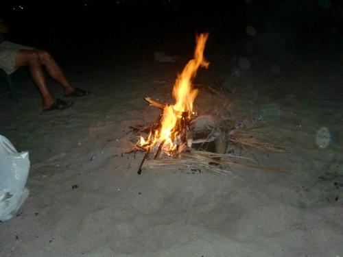 Bonfire - Bonfire in the beach