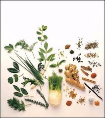 herbs are great - would love to learn about herbs