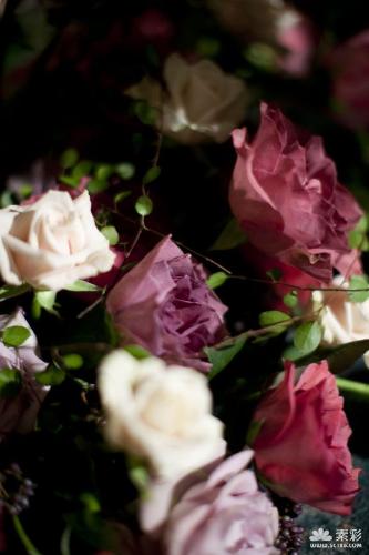 flowers - different kind of flowers