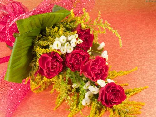 flowers - different kind of flowers