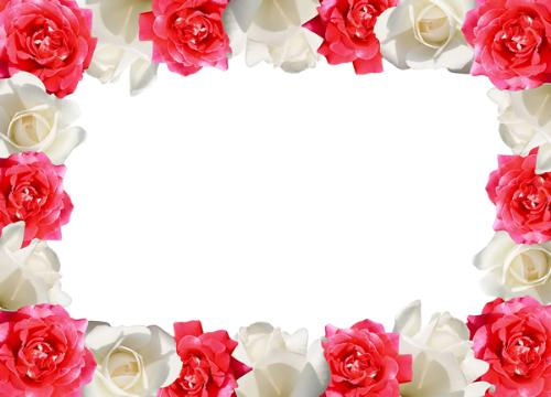 flowers - different kind of flowers