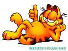 Garfield - Garfield is my favourite cartoon character,he is very funny.